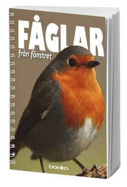 Fåglar från fönstret